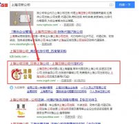上海注册公司网站优化案例